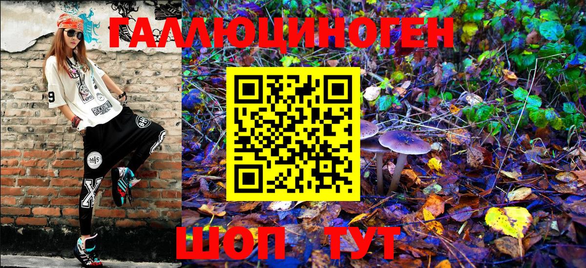 Галлюциногенные грибы Psilocybe  Вход с VPN  Губкин 