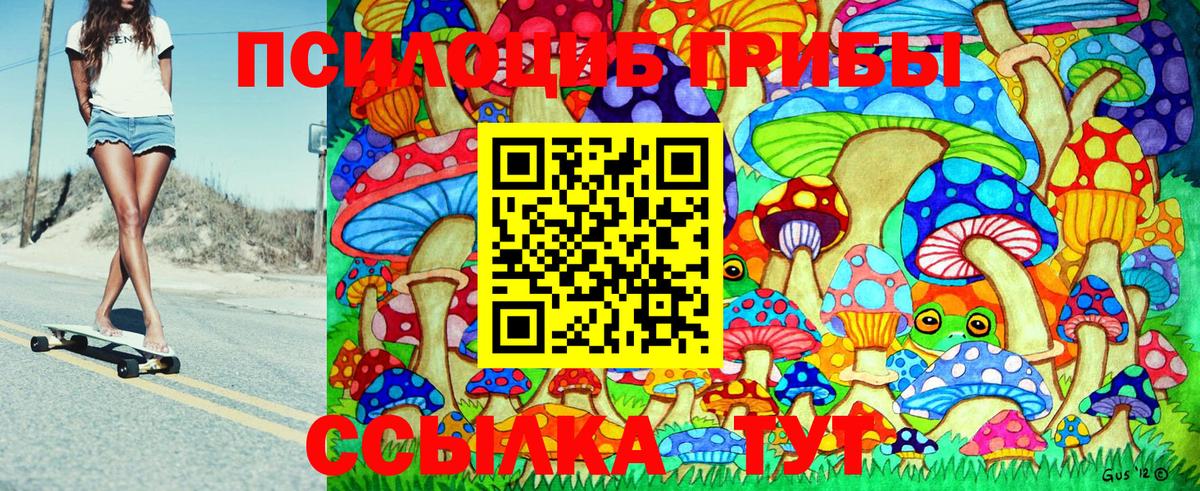 Псилоцибиновые грибы Psilocybe Губкин